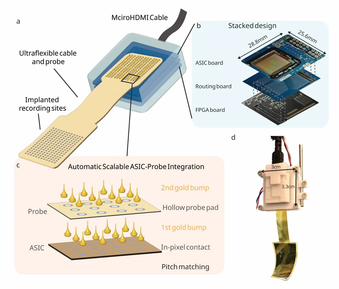March 2026 lab news: Our preprint on a high-channel-count neural interface is now online. We developed an ASIC featu