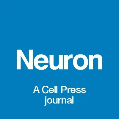 October 2020 lab news: Our collaborative paper with the Rice NeuroEngineering Team (Drs. Lan Luan, Jacob Robinson, Beh